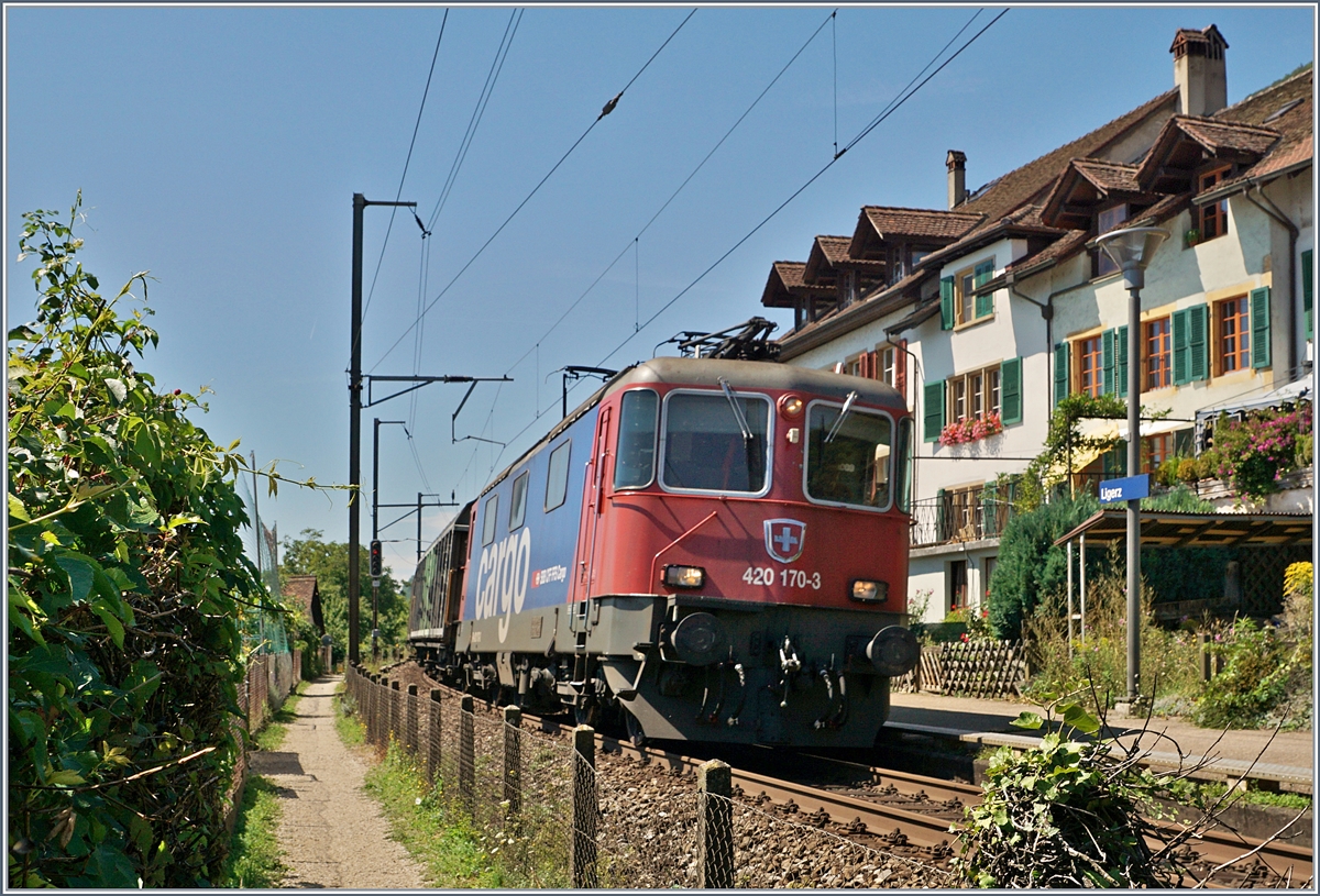 Die SBB Re 420 170-3 mit einem Güterzug bei Ligerz.
18. Aug. 2017