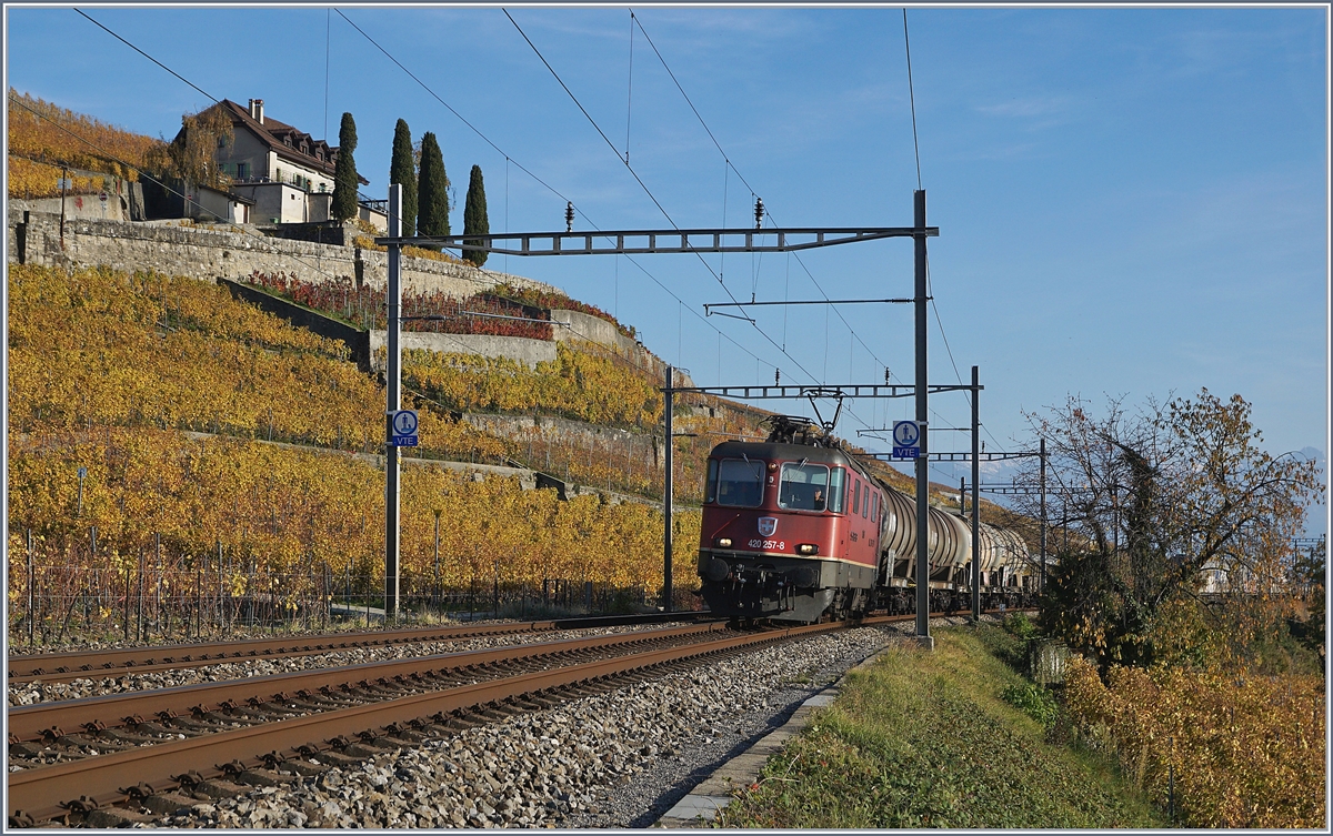 Die SBB Re 420 257-8 mit einem Kesselwagenzug kurz vor Lutry.
3. Nov. 2017