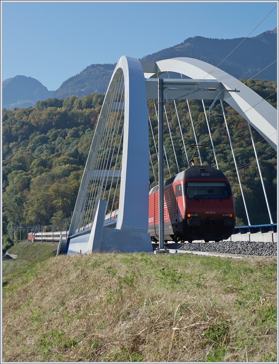 Die SBB Re 460 037-5 schiebt bei Bex ihren IR Richtung Brig über die neuen Rhonebrücke.
11. Okt. 2017
