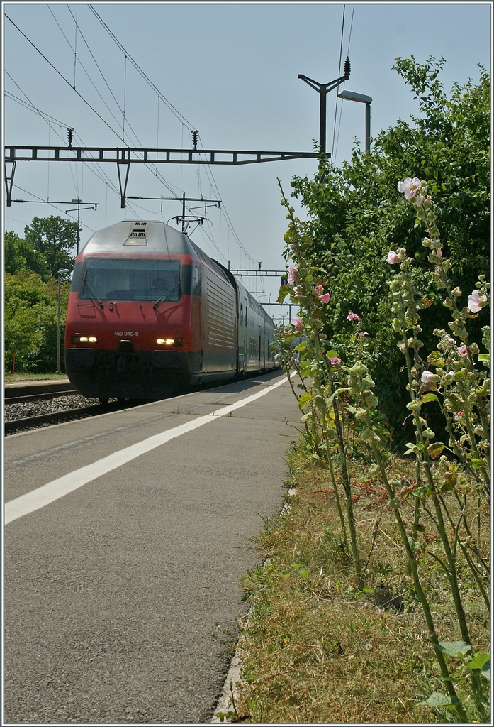 Die SBB Re 460 040-9 fährt mit einem IC nach St.Gallen in Lonay-Préveranges durch. 
15. Juli 2013
