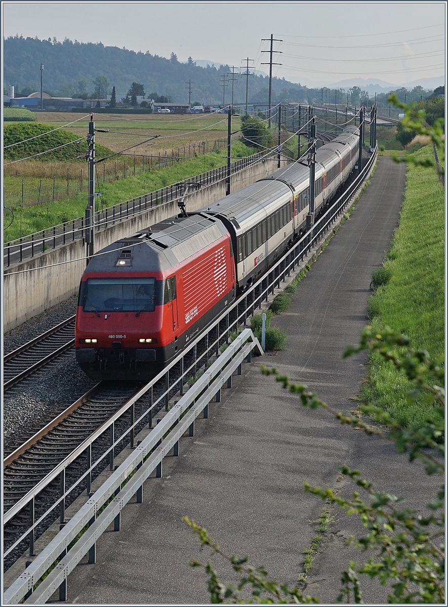 Die SBB Re 460 060-5 mit einem IC NBS Rothrist - Mattstetten (Olten-Bern) bei Langenthal. 

10. Aug. 2020