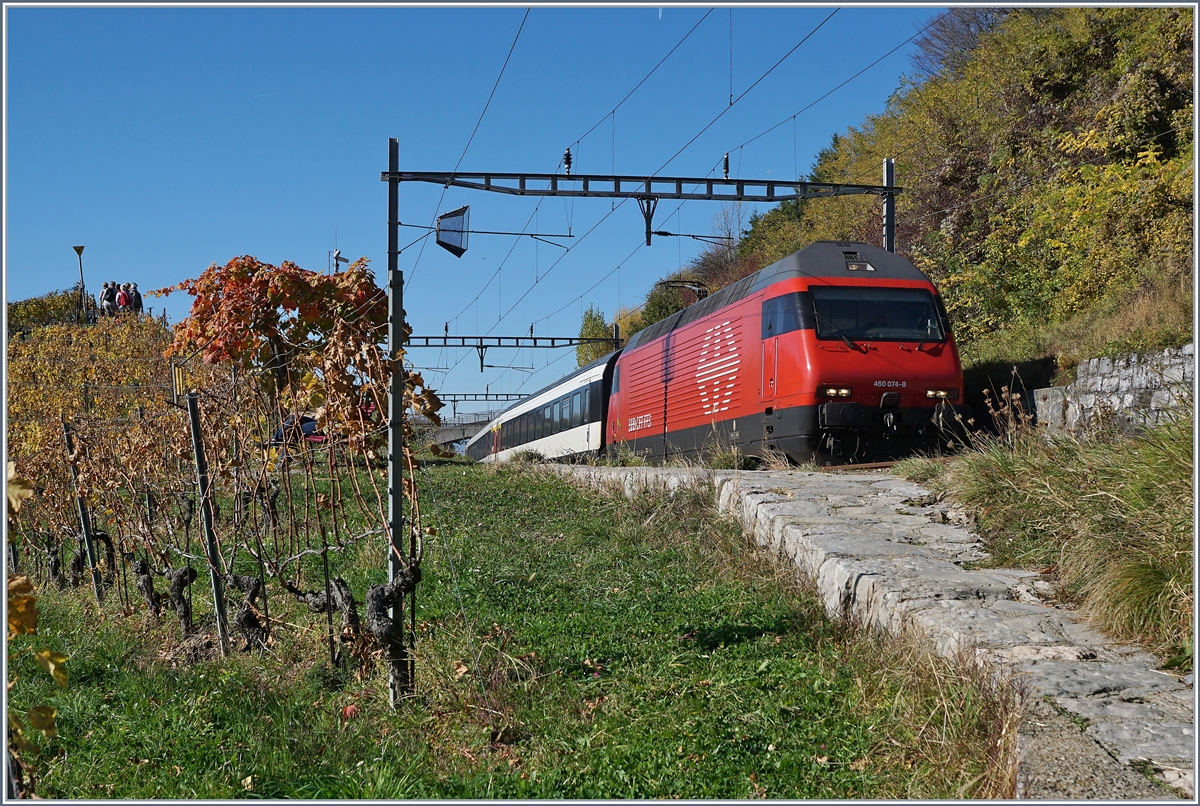 Die SBB Re 460 074-8 mit einem IC zwischen Bossière und Grandvaux.
26. Okt. 2017