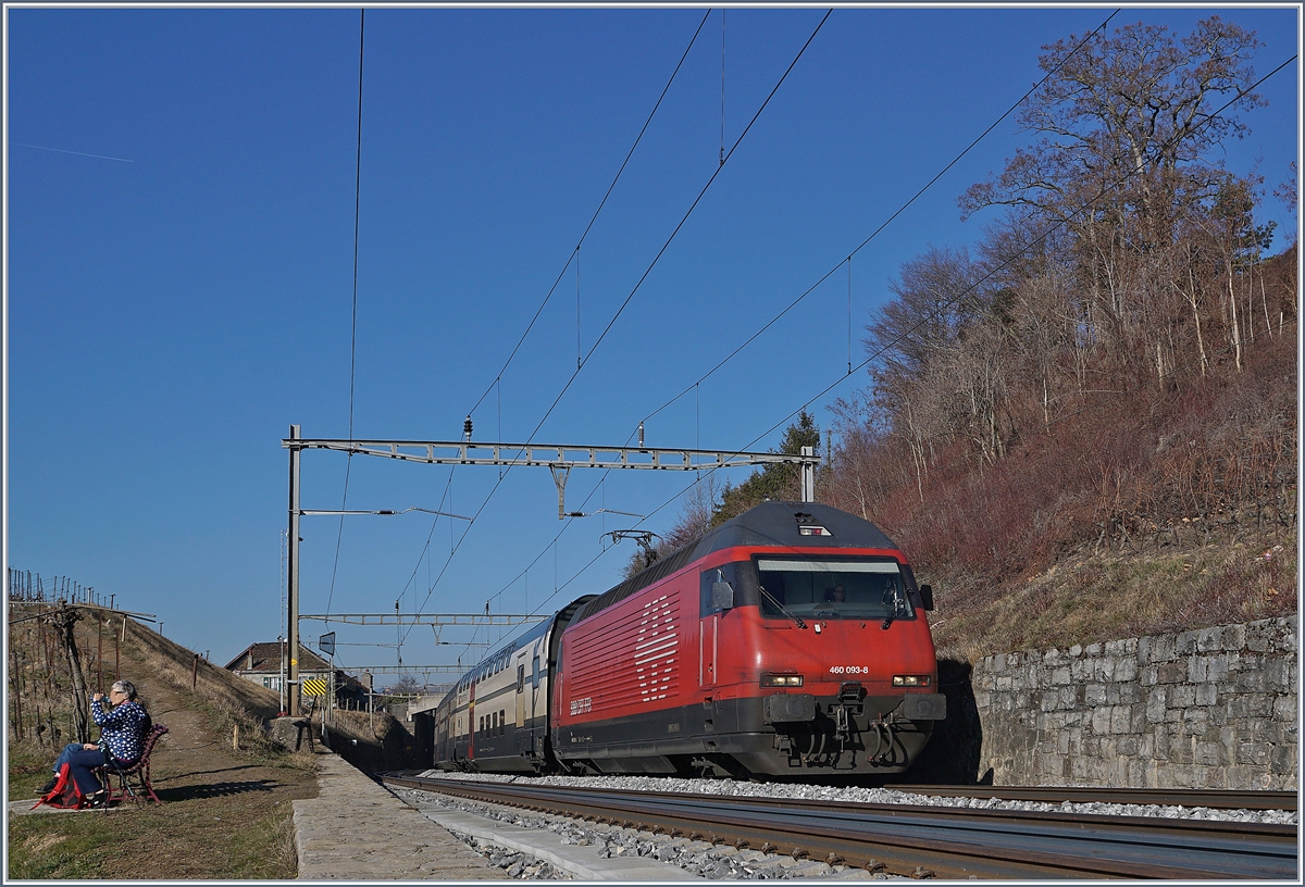 Die SBB Re 460 093-8 ist mit einem IC Richtung Bern zwischen Bossiéres und Grandvaux unterwegs.  

15. Feb. 2019