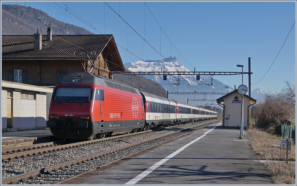 Die SBB Re 460 102-7 schieb bei Roches VD ihren IR Richtung Brig.

17.02.2019 