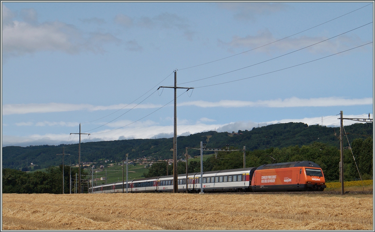 Die SBB Re 460  easy-jet  Werbelok bei Allaman. 

8. Juli 2015