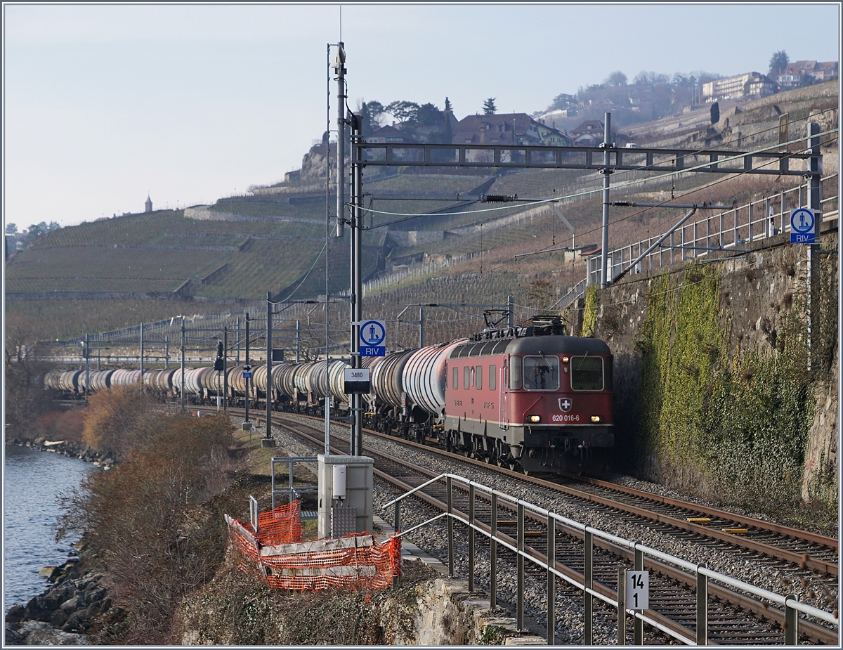 Die SBB Re 620 016-6 mit einem Kesselwagenzug zwischen Rivaz und St-Saphorin.
6. Feb. 2018