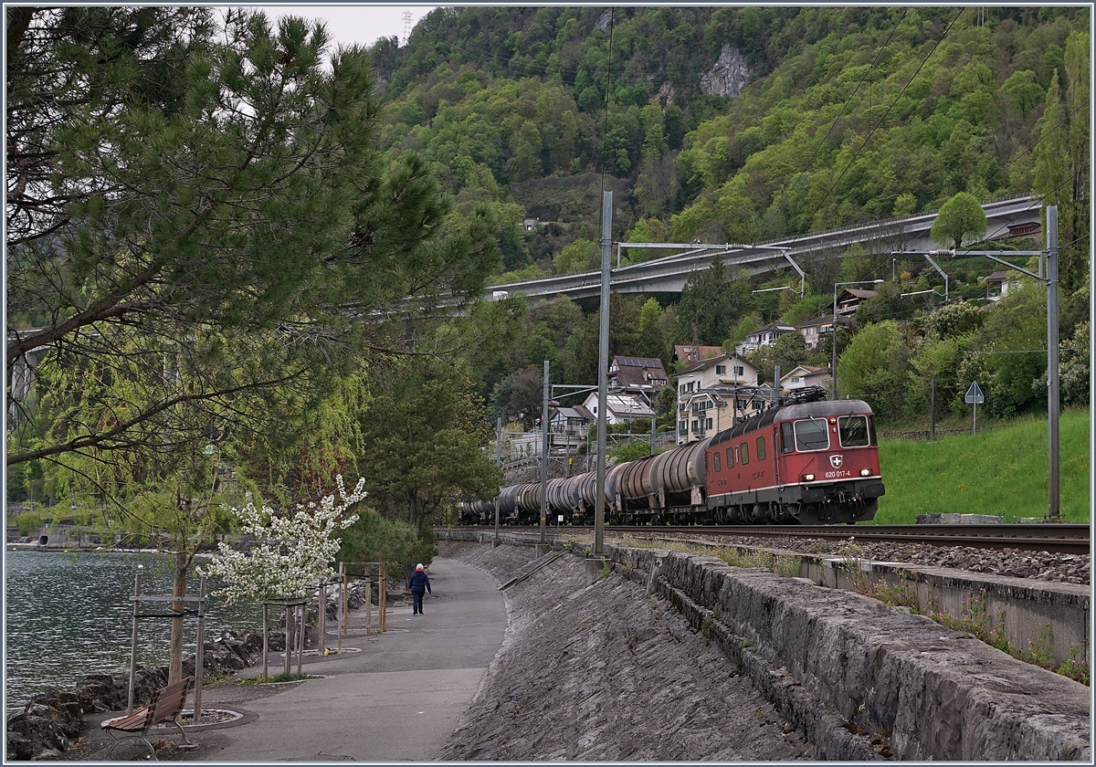 Die SBB Re 620 017-4 mit einem Güterzug Richtung Wallis kruz vor Villeneuve.

23. April 2019