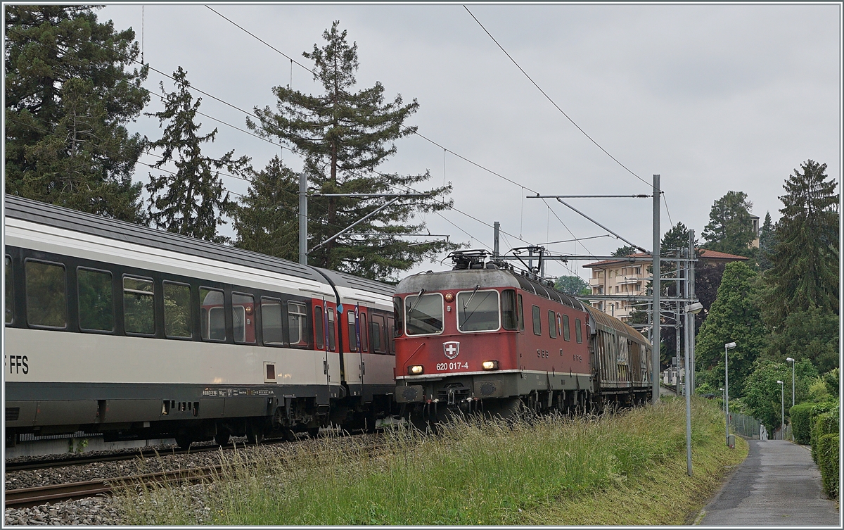 Die SBB Re 620 017 mit einem G�terzug zwischen Clarnes und Montreux auf der Fahrt in Richtung Wallis.

15. Mai 2020