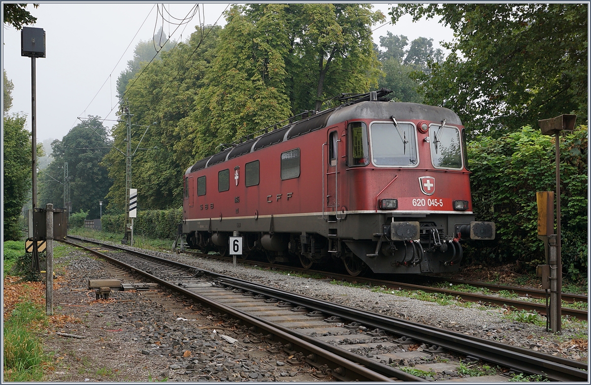 Die SBB Re 620 045-5 wartet in Konstanz auf einen neuen Einsazt.
17. Sept. 2018
