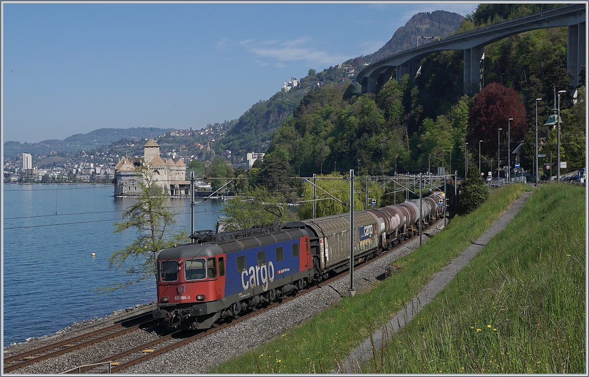 Die SBB Re 6/6 11665 Ziegelbr�cke (Re 620 065-3) ist mit einem G�terzug beim Ch�teau de Chillon unterwegs.

16. April 2020
