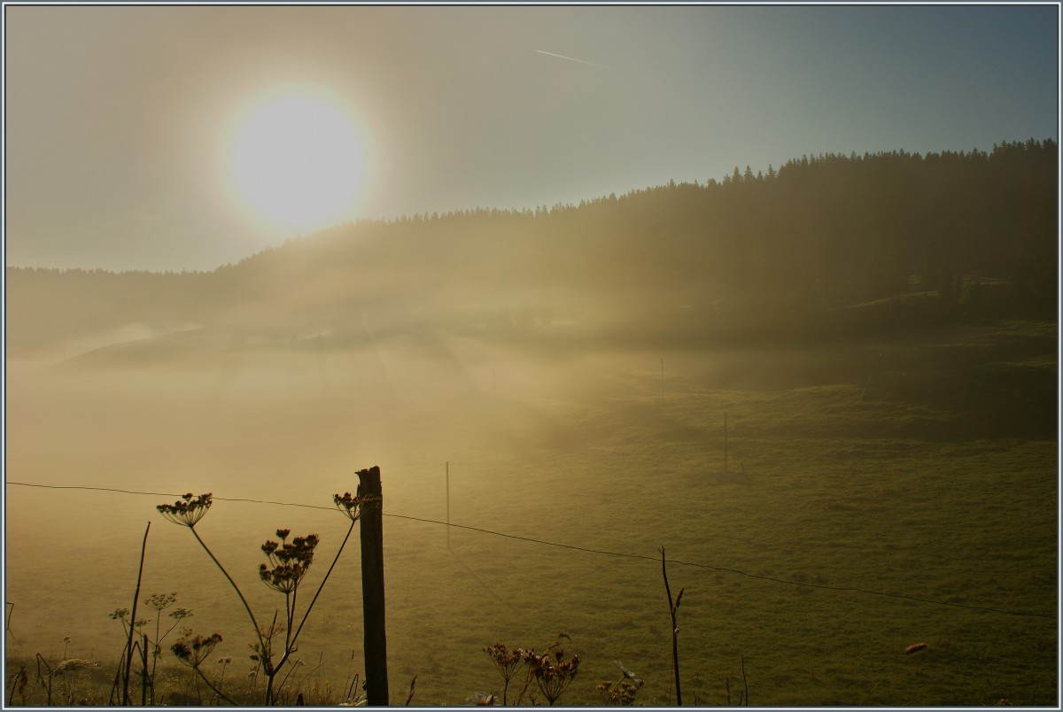 Die Sonne sorgt mit ihrer W�rme langsam f�r das Aufl�sen des Nebels im Vall�e de Joux.
(15.08.2013) 