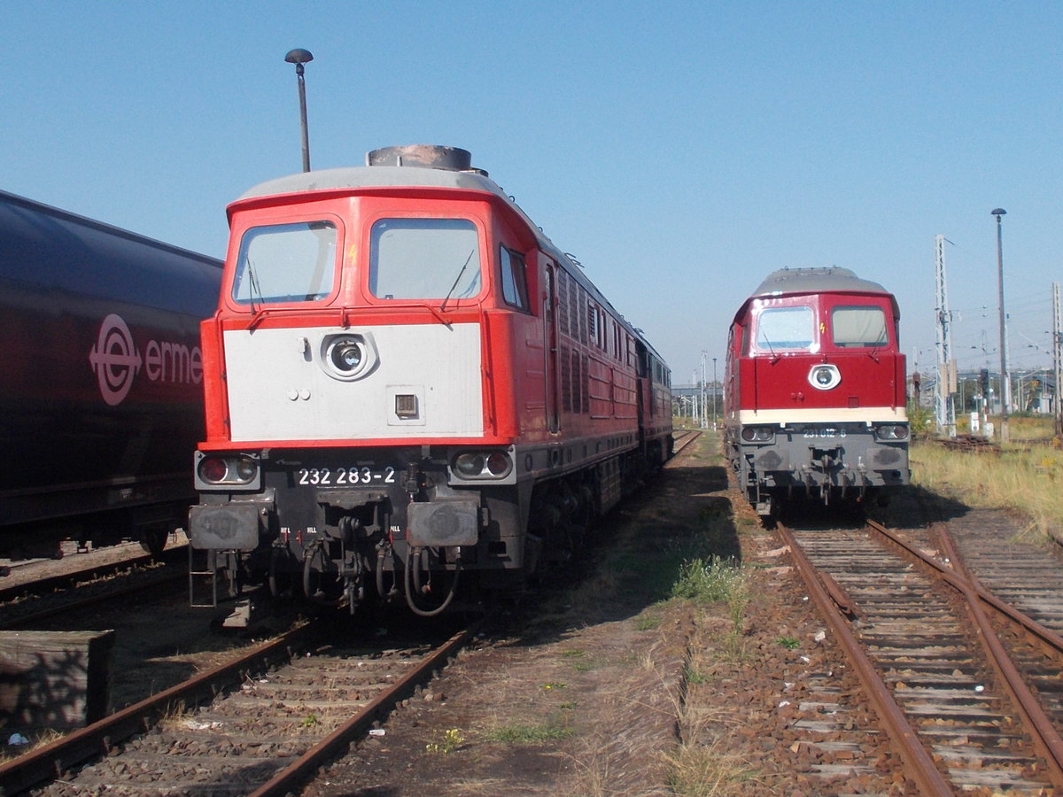 Die WFL mit der 232 283 und der 231 012,am 24.August 2019,in Wustermark.