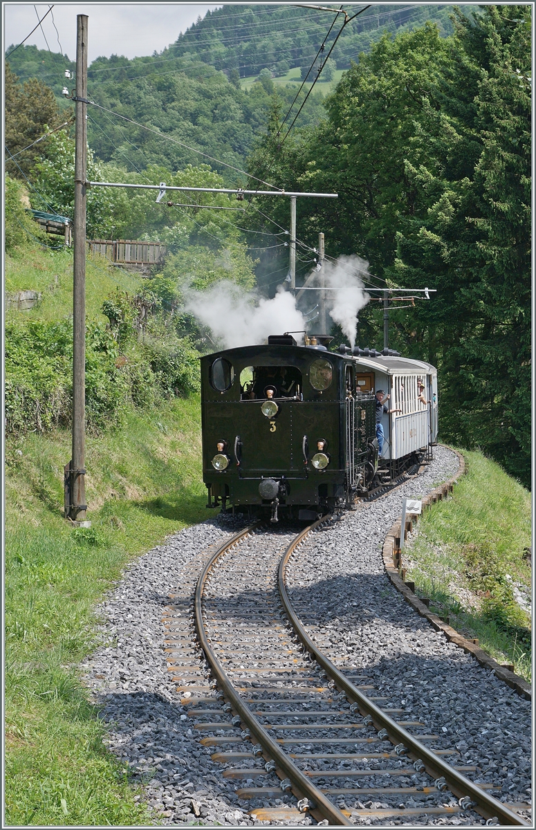 Dieses Jahr fällt mein Beitrag zum  Festival Suisse de la vapeur (Schweizer Dampffestival 2025) arbeitsbedingt etwas weniger üppig aus: Die BFD HG 3/4 N° 3 ist mit ihrem Dampfzug kurz vor Chantemerle auf dem Weg nach Blonay. 

8. Juni 2025