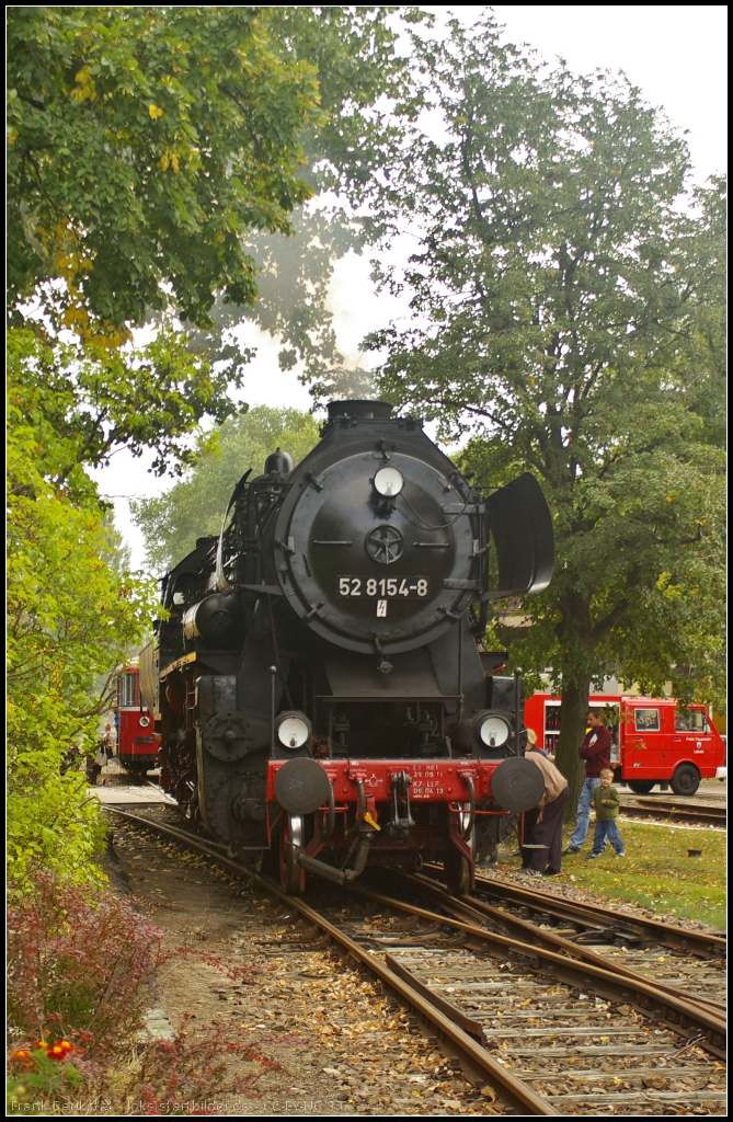 DR 52 8154-8 des Eisenbahnmuseum EMBB Leipzig e.V. stand f�r F�hrerstandsmitfahrten bei den Bahnaktionstagen des Berlin-Anhaltinischen Eisenbahnverein e.V. am 15.09.2013 im alten DB REgio-Bw in Lutherstadt Wittenberg bereit