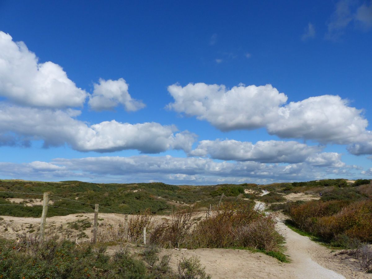 Dne bei Noordwijk 27-09-2015.

Duinen bij de Zeeweg, Noordwijk 27-09-2015.