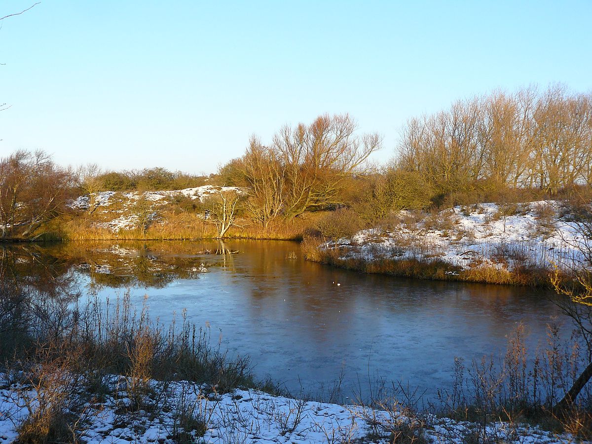 Dne bei Wassenaar 28-12-2014.

Duinen Meijendel, Wassenaar 28-12-2014.