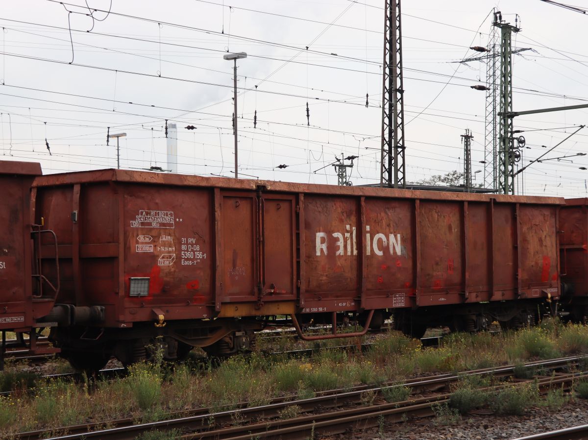 Eaos-x 075 offener Drehgestell-Wagen mit Nummer 31 RIV 80 D-DB 5360 156-9 und Aufschrift  RAILION  Gterbahnhof Oberhausen West 18-08-2022.

Eaos-x 075 vierassige hoge bakwagen met nummer 31 RIV 80 D-DB 5360 156-9 en opschrift  RAILION  goederenstation Oberhausen West Duitsland 18-08-2022.