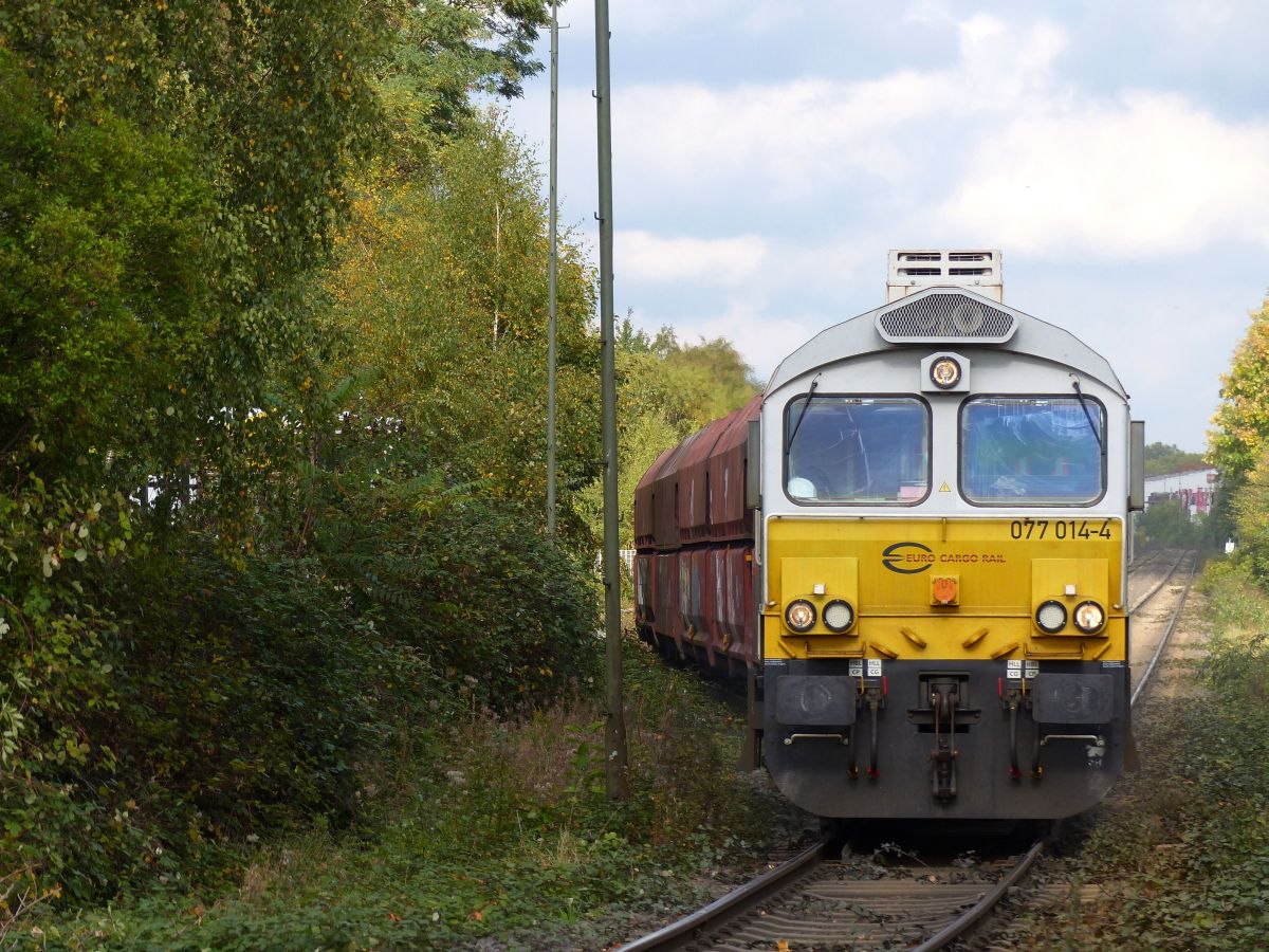 ECR (Euro Cargo Rail) Diesellok 077 014-4 bei der Abfahrt Wanheim Angerhausen, Duisburg. Atroper Strae, Duisburg 13-10-2017. 

ECR (Euro Cargo Rail) dieselloc 077 014-4 bij vertrek uit Wanheim Angerhausen, Duisburg. Atroper Strae, Duisburg 13-10-2017.