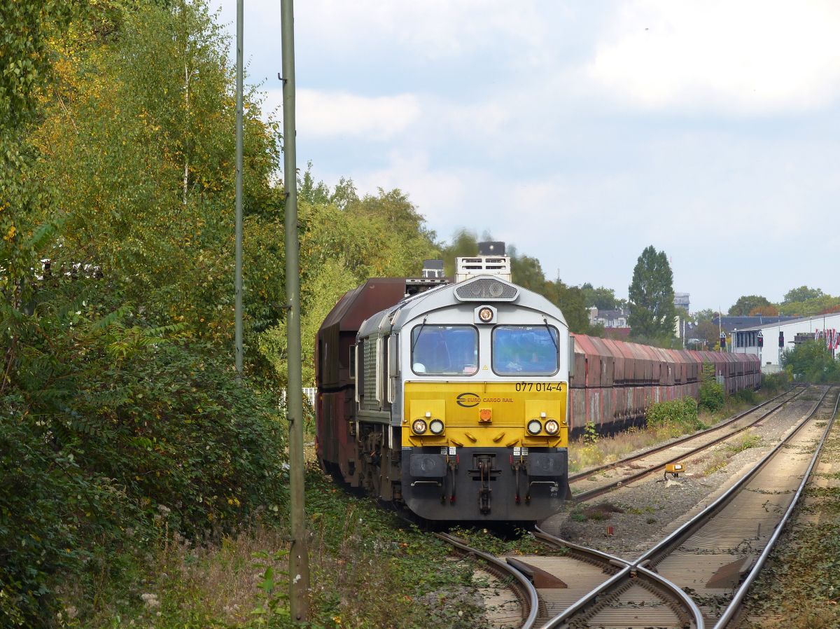 ECR (Euro Cargo Rail) Diesellok 077 014-4 bei der Abfahrt Wanheim Angerhausen, Duisburg. Atroper Strae, Duisburg 13-10-2017. 

ECR (Euro Cargo Rail) dieselloc 077 014-4 bij vertrek uit Wanheim Angerhausen, Duisburg. Atroper Strae, Duisburg 13-10-2017.