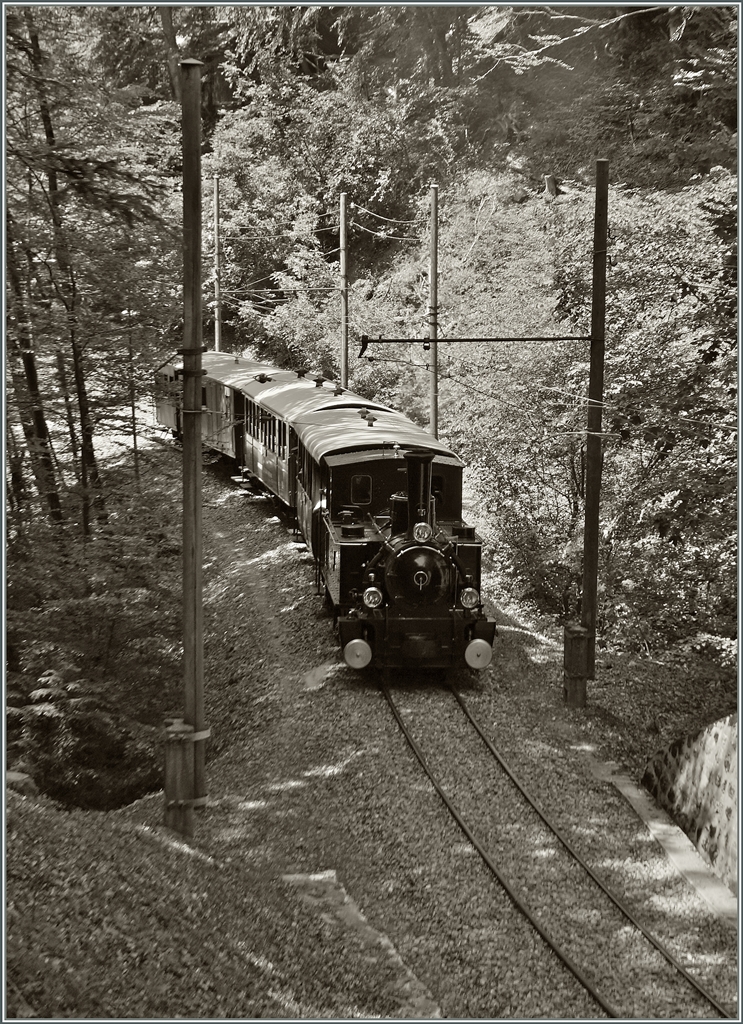 Ein Blonay-Chamby Museumsbahn Dampfzug im Wald oberhalb von Blonay.
9. Juni 2014