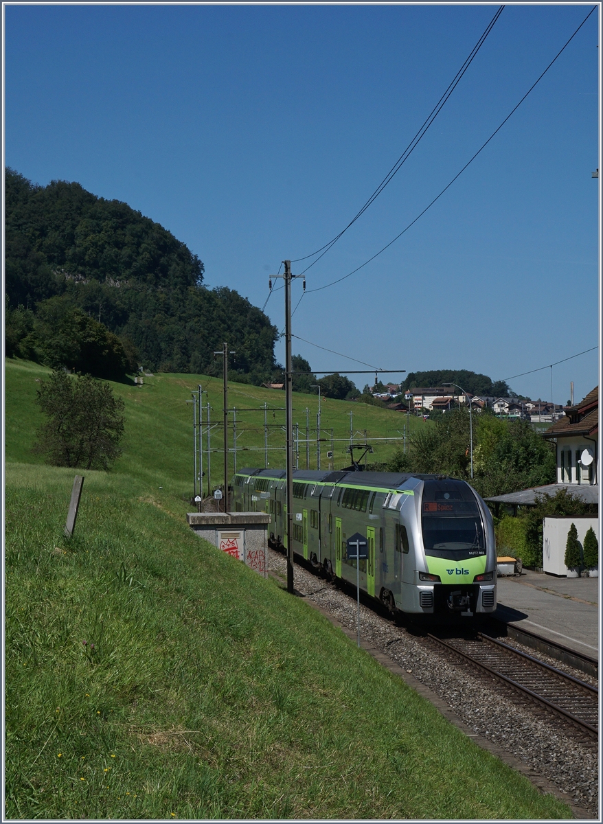 Ein BLS RABe 515  Mutz  als Regionalzug Spiez Interlaken bei Faulensee.
14. August 2016