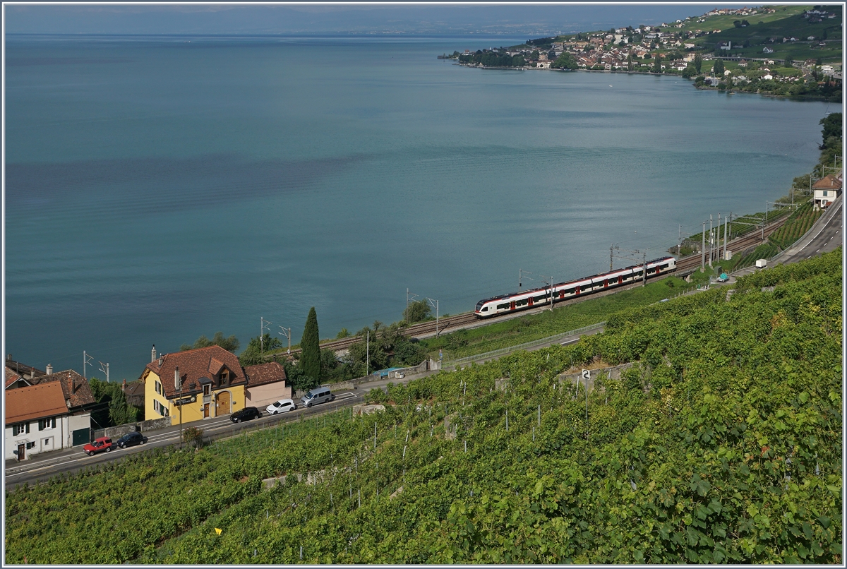 Ein Flirt auf der Fahrt nach Villeneuve kurz nach Epesses.
10. Aug. 2016