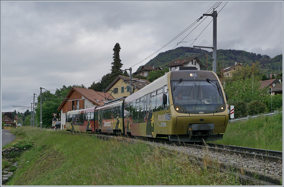 Ein  Lenkerpendel  auf dem Weg nach Montreux bei Planchamp.

2. Mai 2020