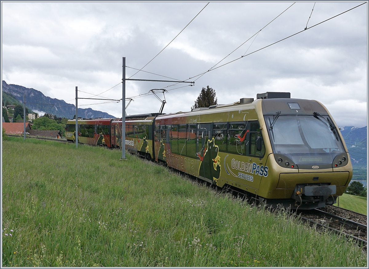 Ein  Lenkerpendel  auf dem Weg nach Zweisimmen bei Sonzier. 

2. Mai 2020