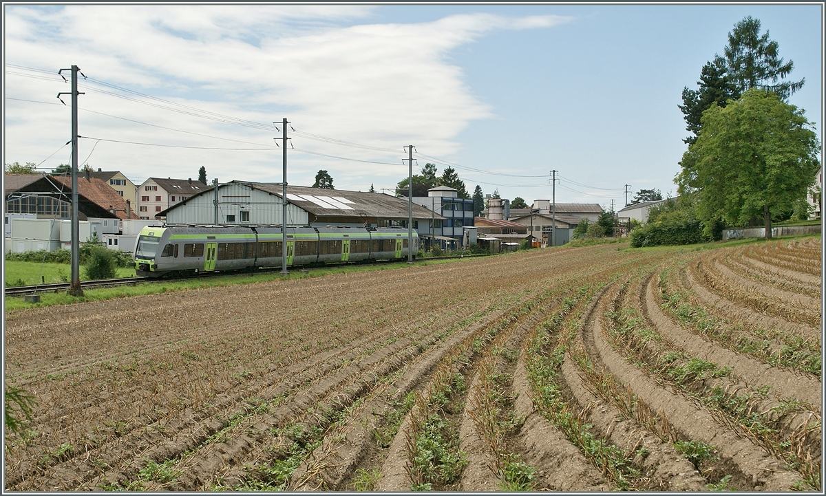 Ein Lötschberger im S-Bahn Einsatz auf der S5 bei Murten.
25. Juni 2011 