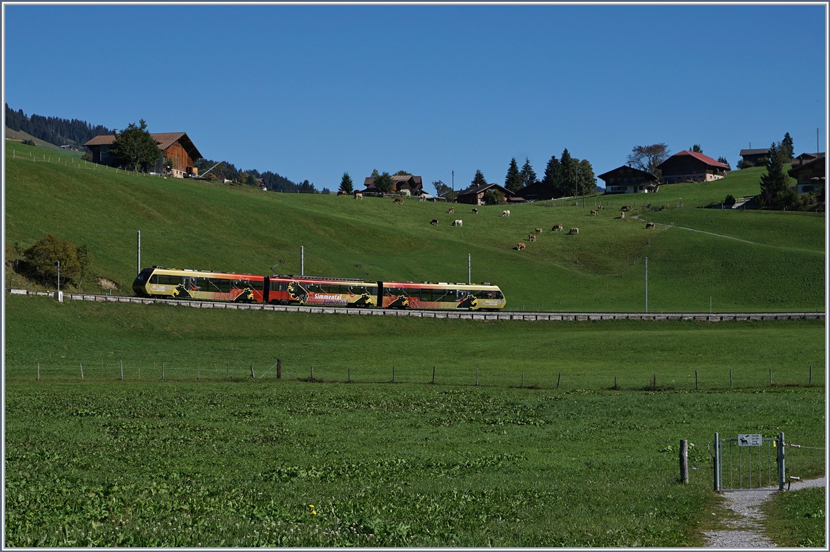 Ein MOB Be 4/4 Serie 5000  Lenkerpendel  ist zwischen Schönried und Gruben unterwegs. 

30. Sept. 2016