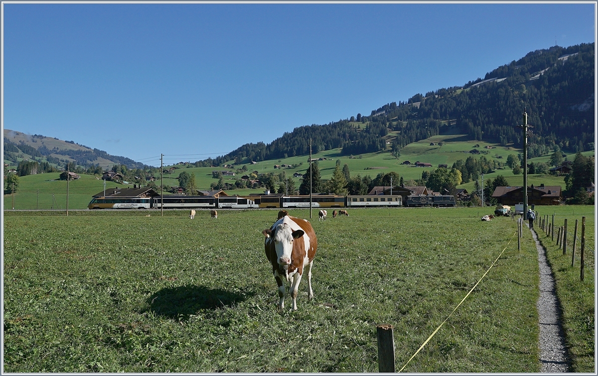 Ein MOB GoldenPanoramic Express ist zwischen Gstaad und Sannen auf dem Weg nach Montreux.

3. Ok.t 2019