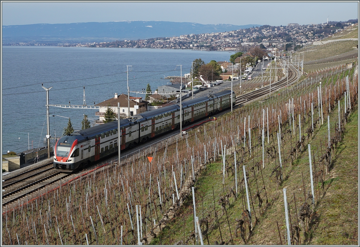 Ein RABe 511 al RE Genève - Vevey bei Cully.
22. Feb. 2016
