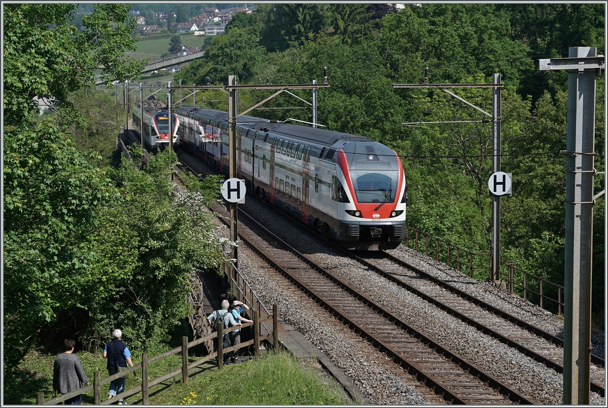 Ein RABe 511 als RE nach Romont kurz nach Bossière. 
26. Mai 2016