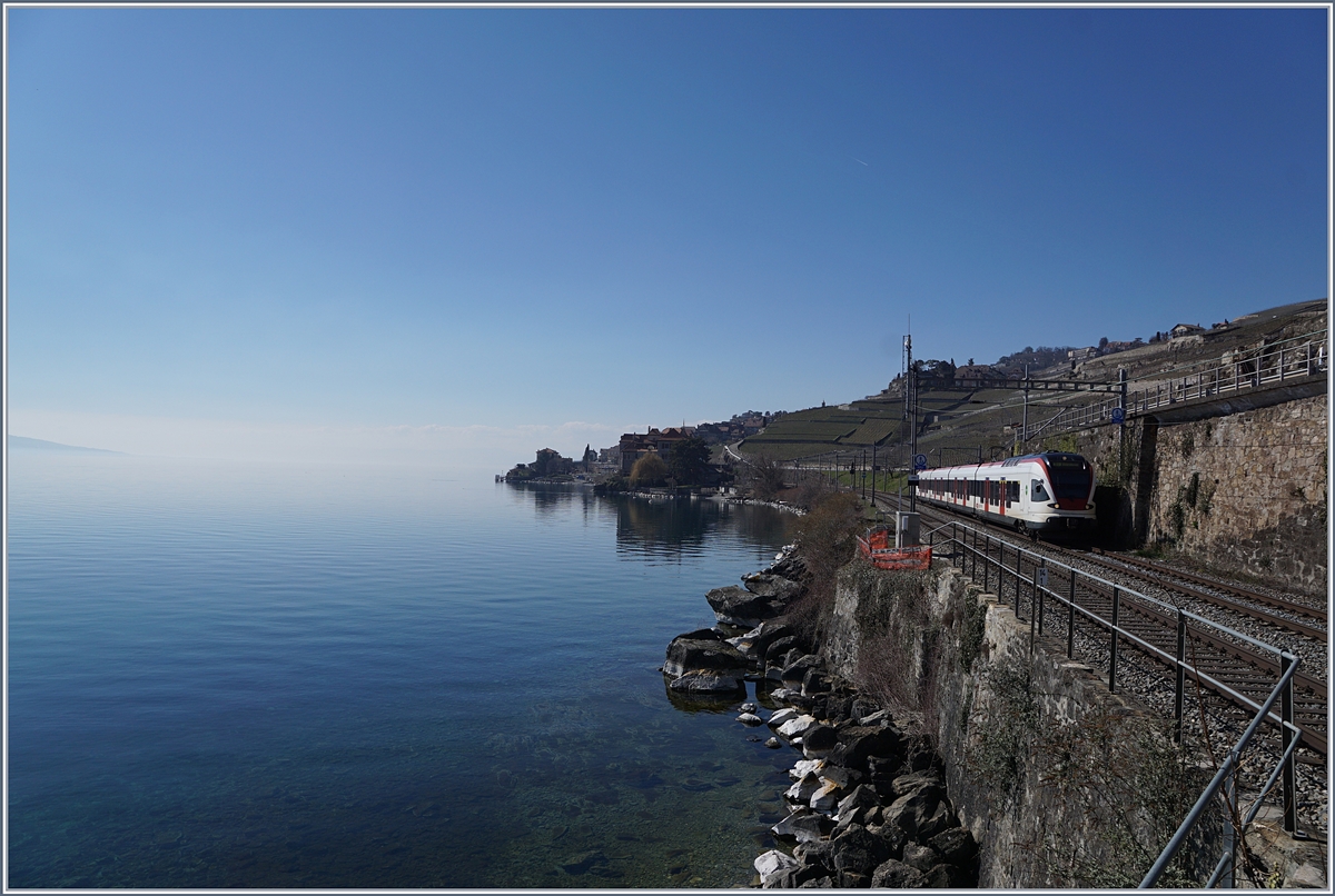 Ein SBB Flirt RABe 523 zwischen Rivaz und St-Saphorin. 

24. März 2019 