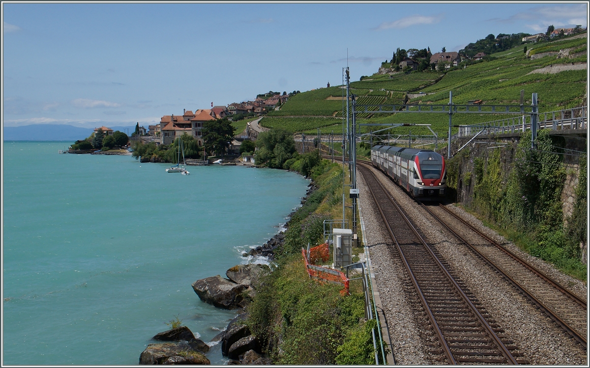 Ein SBB RABe 511 als RE Genève - Vevey bei Rivaz. 
8. Juli 2015