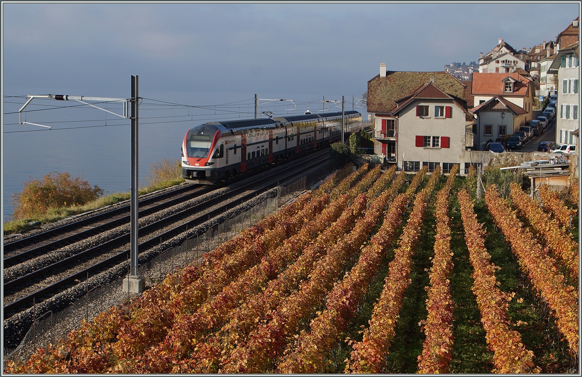Ein SBB RABe 511 als RE von Vevey nach Genève bei St-Saphorin.
22. Nov. 2014