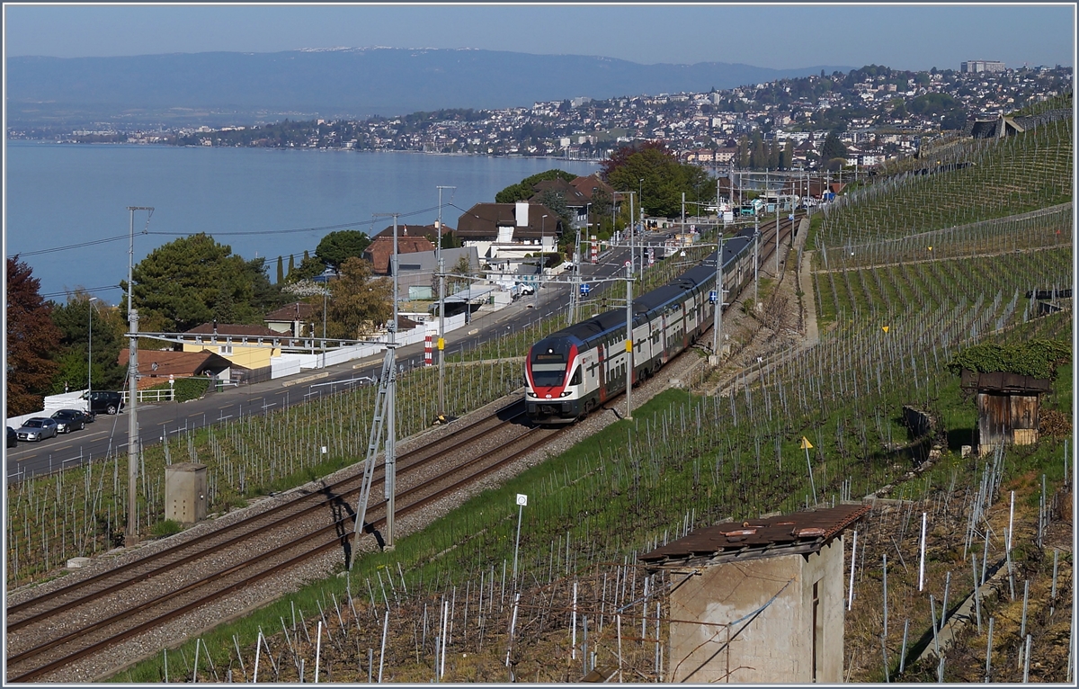 Ein SBB RABe 511 als RE auf dem Weg nach Vevey kurz vor Cully. 
20. April 2018