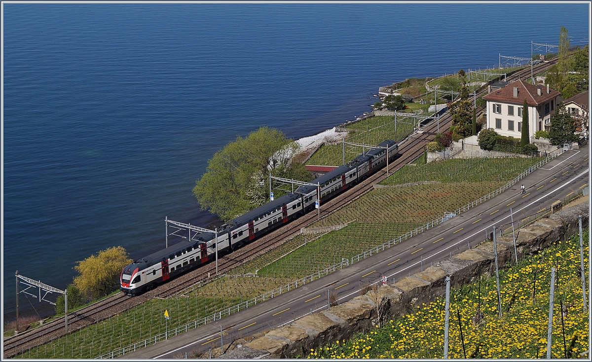 Ein SBB RABe 511 als RE von Vevey nach Genève zwischen Rivaz und Epesses. 

2. April 2018