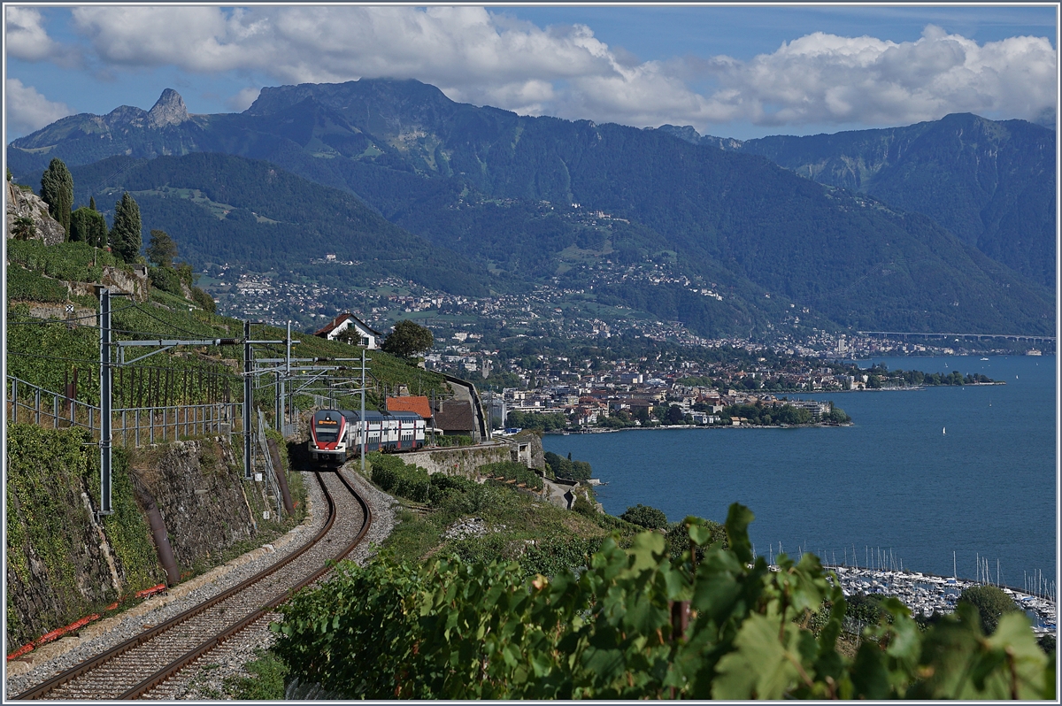 Ein SBB RABe 511 auf der Fahrt durch die Weinberge des Lauvaux oberhalb von St-Saphorin.

26. Aug. 2018