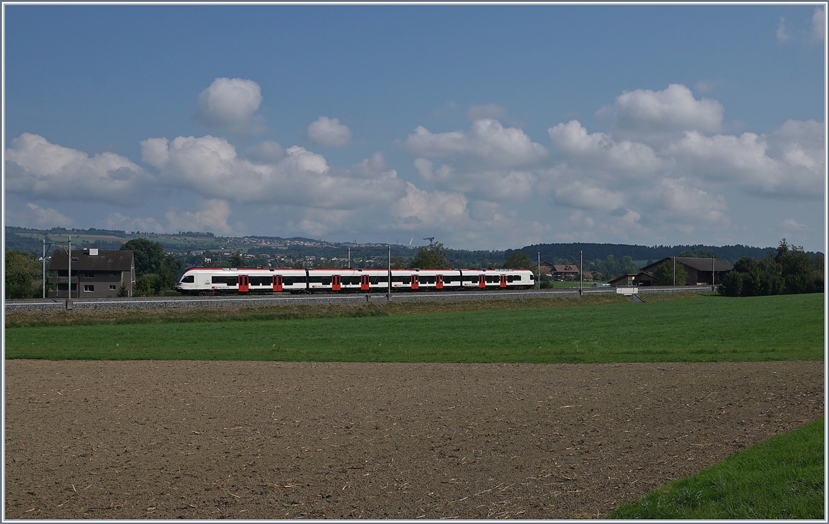 Ein SBB RABe 523 als S-Bahn von Sursee nach Zug am Sempacher See zwischen Nottwil und Sempach Neuenkirch.

21. Sept. 2020