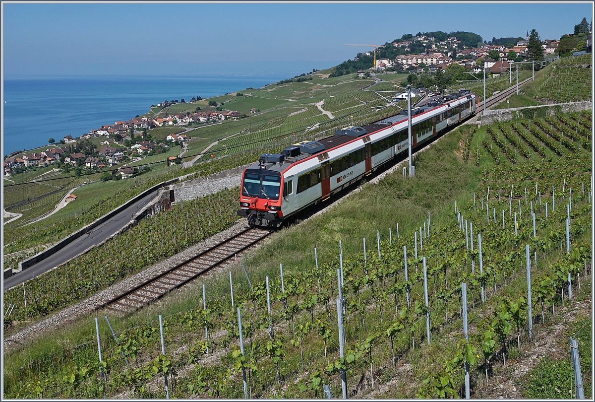 Ein SBB RBDe 560  Domino  ist auf der Train des Vignes stre3cke bei Chexbres unterwegs. 

17. Mai 2020