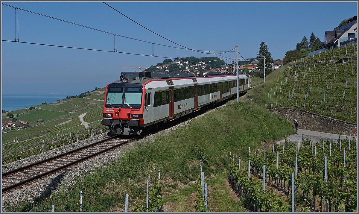 Ein SBB RBDe 560  Domino  ist auf der Train des Vignes stre3cke bei Chexbres unterwegs. 

17. Mai 2020