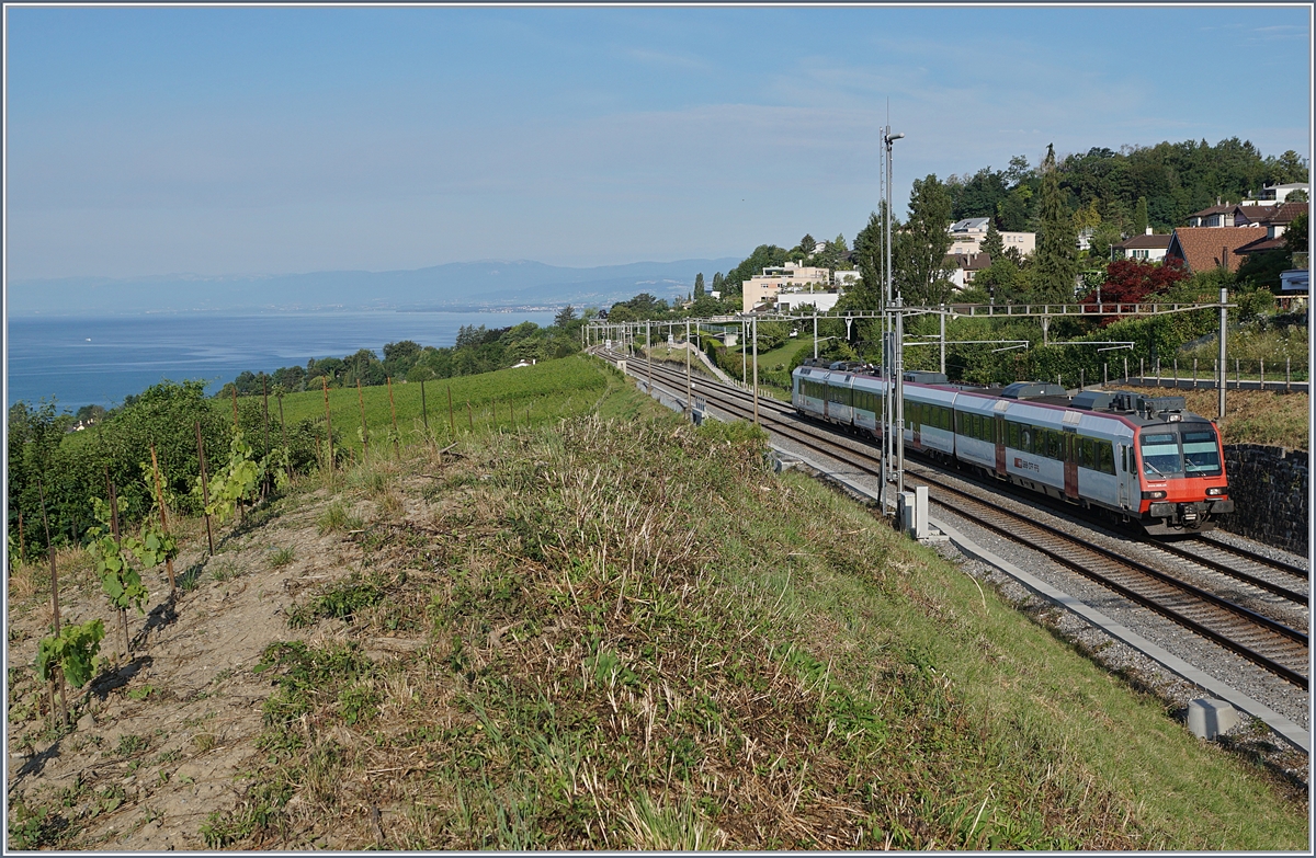 Ein SBB RBDe 560  Domino  auf dem Weg nach Kerzers kurz nach La Conversion. 

14. Juli 2020