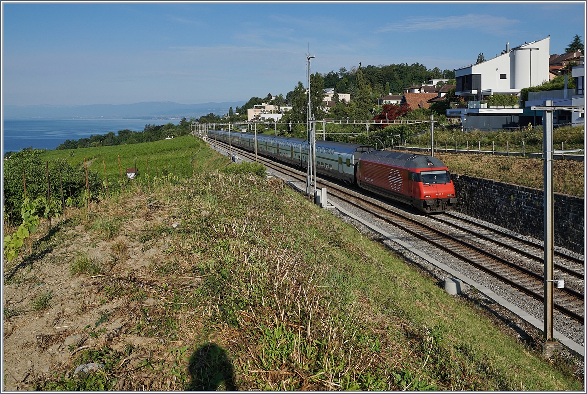 Ein SBB Re 460 ist im Lavaux bei La Conversion mit einen IC von Genève Aéroport nach St.Gallen unterwegs, in de Zwischenzeit sind diese Leistungen vollständig von den SBB RABe 502  Twindexx  übernommen worden. 

14. Juli 2020