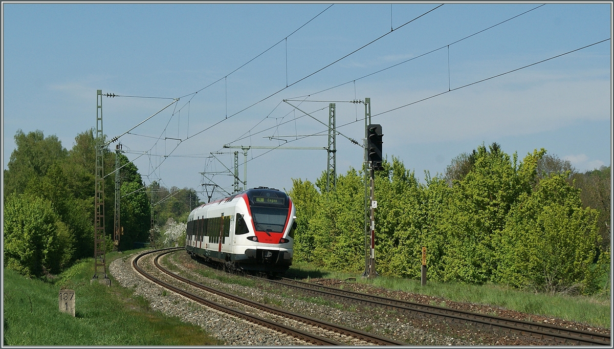Ein  Seehas  Flirt auf dem Weg nach Konstanz kurz nach Engen.. 
22. April 2011