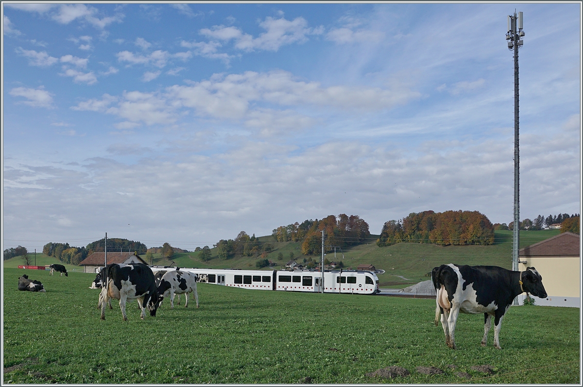 Ein TPF SURF ABe 2/4 | B | Be 2/4 erreicht La Verrerie und wird dabei von einigen landestypischen schwarz/weisen Linsenputzen verdeckt. 

22. Okt 2020