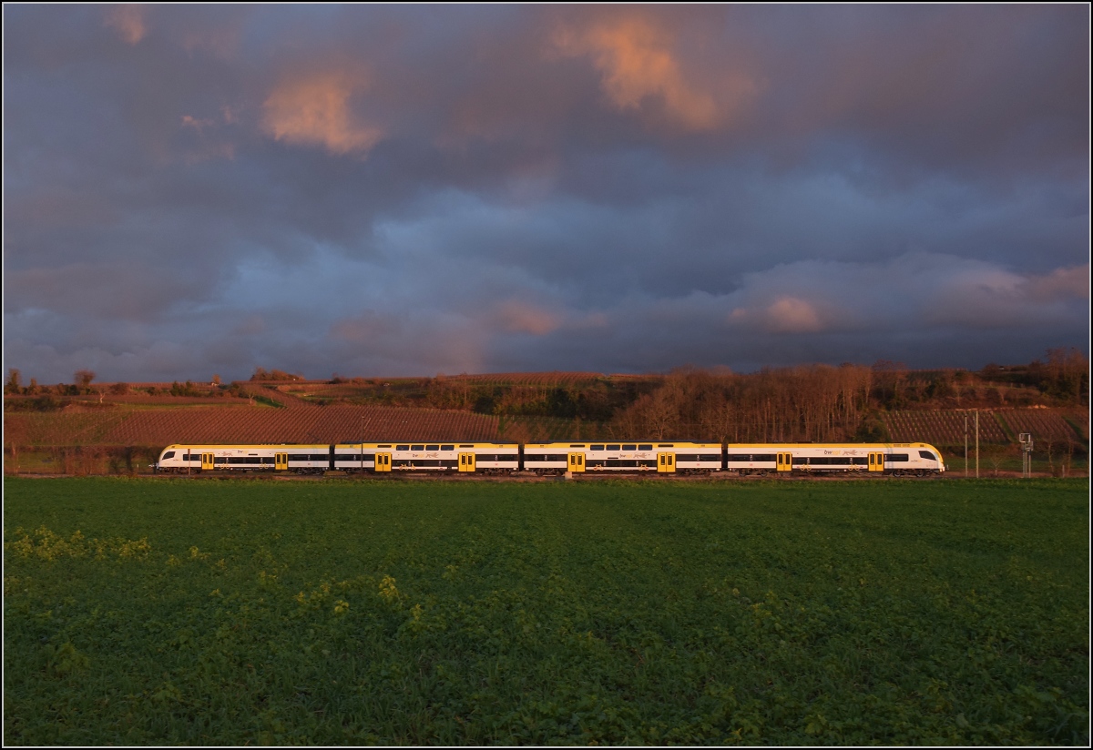 Ein unbekannt gebliebener 1462 von Bwegt im letzten Abendlicht nach dem Sturm fährt im Markgräflerland vorüber. Buggingen, November 2021. 