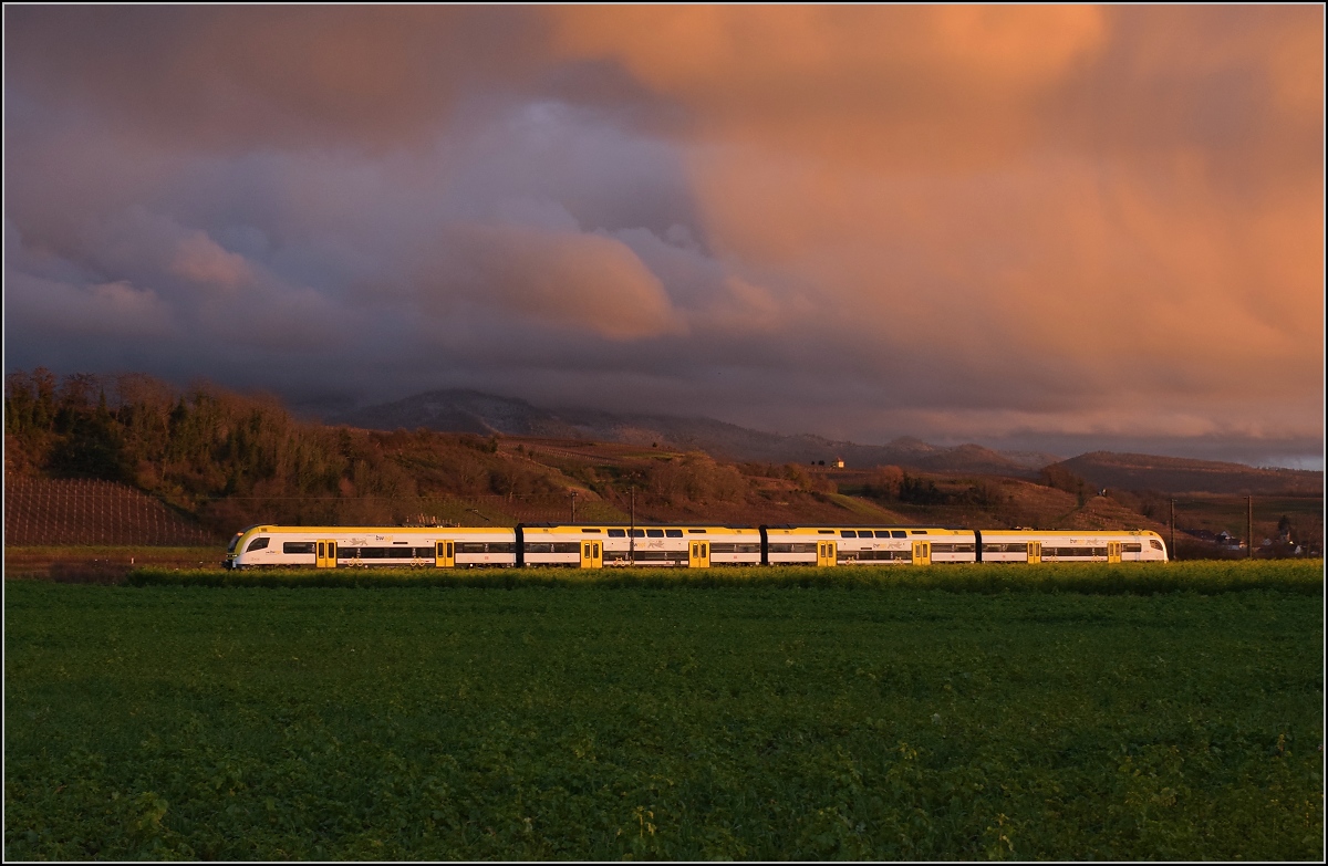 Ein unbekannt gebliebener 1462 von Bwegt im letzten Abendlicht nach dem Sturm fährt im Markgräflerland vorüber. Buggingen, November 2021. 