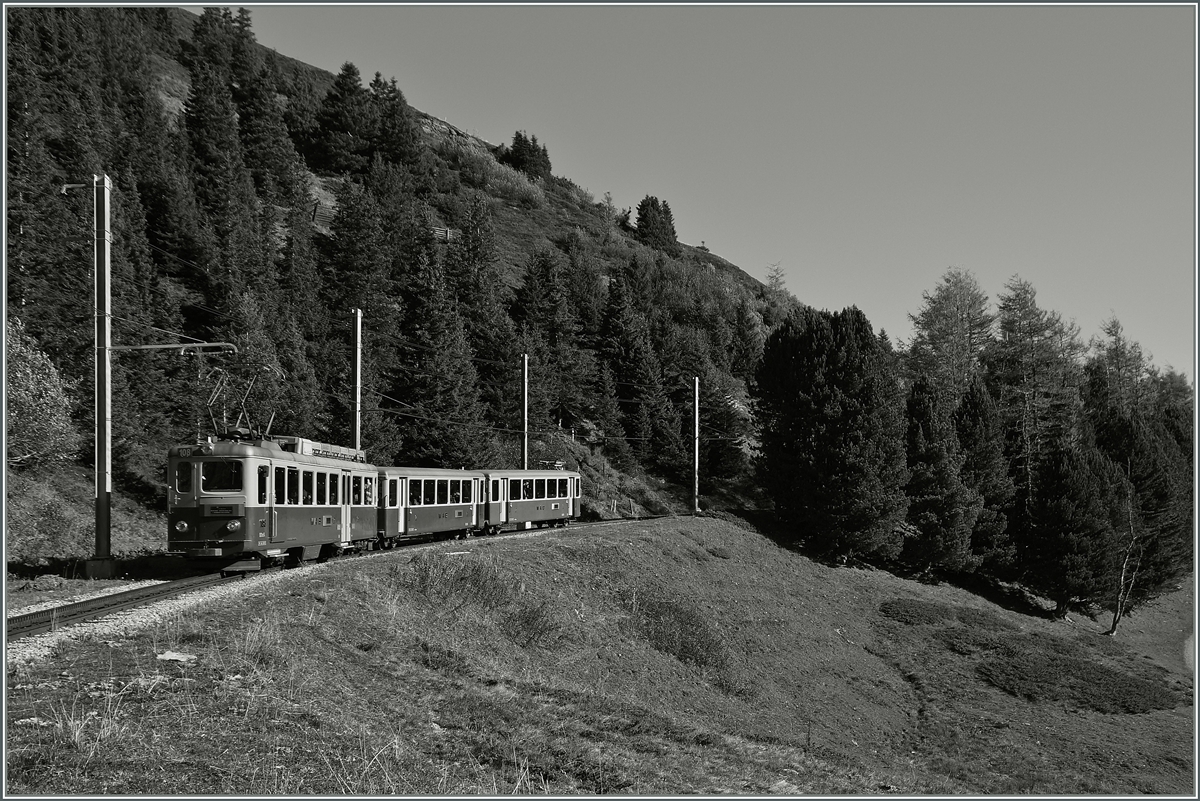 Ein WAB BDeh 4/4 mit zwei Bt zwischen der Kleinen Scheidegg und der Wengerneralp.
9. Okt. 2014