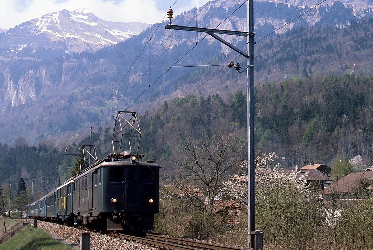 Eine Deh 4/6-Doppeltraktion der Br�nigbahn ist Anfang Mai 1981 am Brienzersee bei Ringgenberg untertwegs